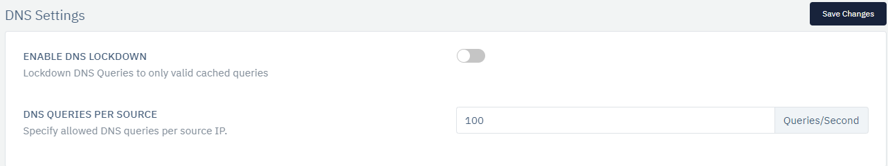 dns_setting