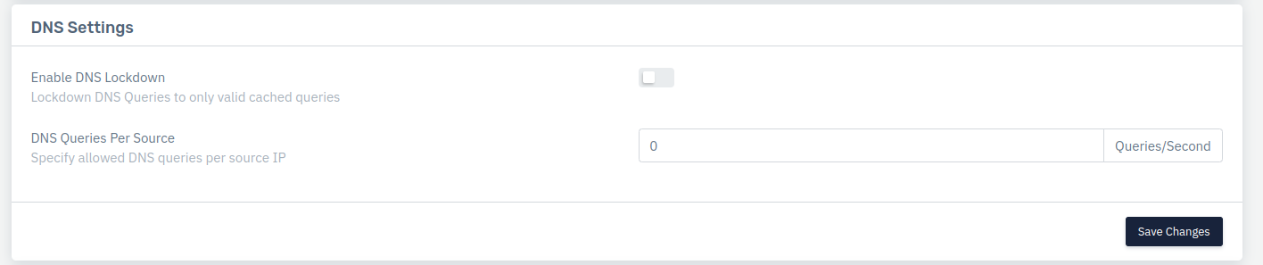 dns_setting